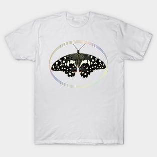 Butterfly - tropical Insect in Kenya / Africa T-Shirt